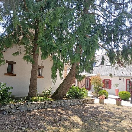 L'Escale Solognote Appartement Tour-en-Sologne Buitenkant foto